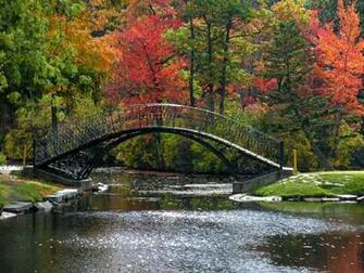 Fall Screensavers Wallpaper