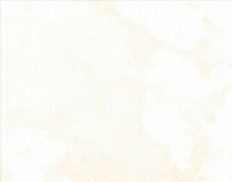 White Texture Background On Use This In Your Picaboo Photo