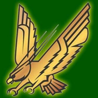 Fsu Falcons Logo By Darkwristband