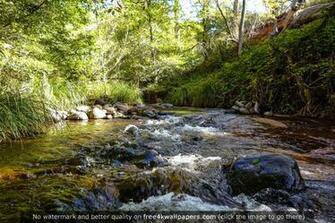 Went To Wet Beaver Creek Near Sedona Az Today Wallpaper
