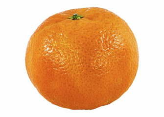 Orange Transparent Background Clip Art