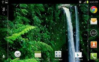 Rain Forest HD Live Wallpaper Android Apps On Google Play