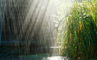 Beautiful Rainy Day Wallpaper Which Is Under The