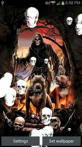 Bigger Death By Pitbulls Live Wallpap For Android Screenshot