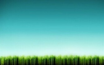 Green Wallpaper Nursery Eco Friendly Why Not Go