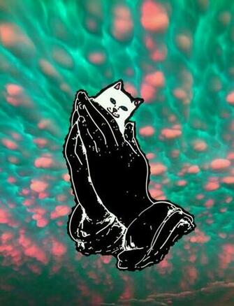 Ripndip iPhone Wallpaper Middle Finger Cat