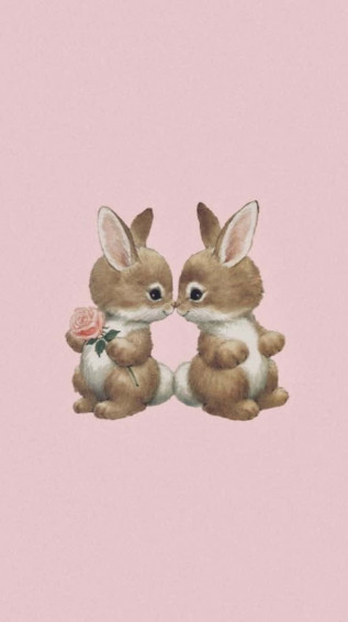 Bunny Aesthetic Wallpaper