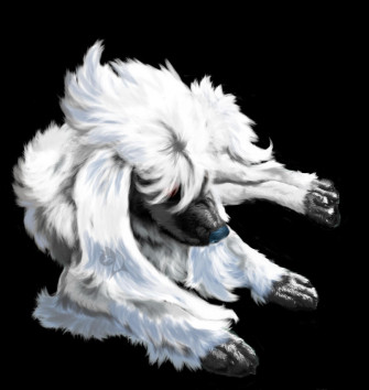 Furfrou By Aishi Wallpaper