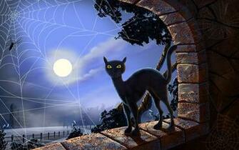 Black Cat Spider Is A Great Wallpaper For Your Computer Desktop And