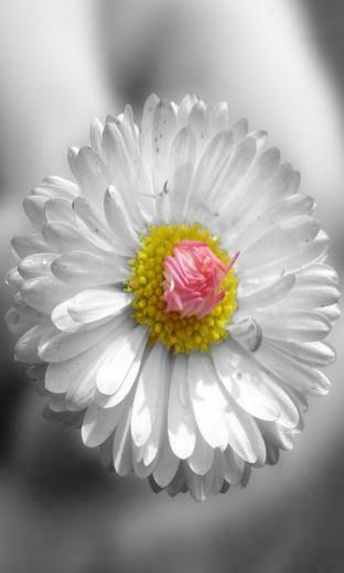 Mobile Phones Wallpaper For