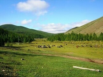 Summer Season In Mongolia Wallpaper