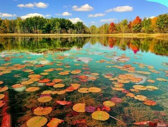 Beautiful Water Nature HD Wallpaper Live Hq Pictures