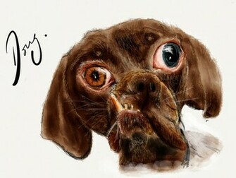 Doug The Ugliest Cutest Dog