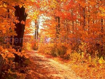 Autumn Screensaver At Collection Desktop Screen
