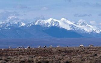 The Trump Administration Wants To Sell A Wildlife Refuge