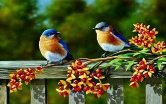 Blue Bird Wallpaper HD