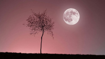 Aesthetic Moon Wallpaper