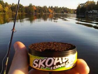 Skoal Wintergreen Ing Gallery