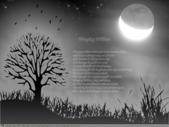 Mr High Sky Weeping Willow Wallpaper