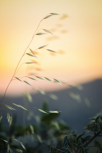 Calm Wallpaper Best Outdoor And Cloud