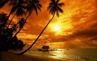 Url Beach Background Tropical Sunset Wallpaper