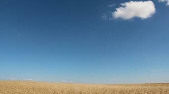 Wallpapertock Net Summer Landscape Html