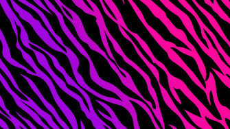 Leopard Print Wallpaper HD