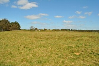 Grassy Countryside Wallpaper HD