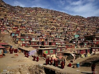 Geographic Homes Favelas Wallpaper High Resolution