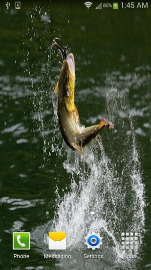 Bass Fishing Wallpaper Android Apps On Google Play
