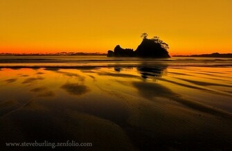 Animals S Sunrise Beach Wallpaper For Beautiful Desktop