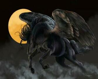 Pictures Winged Horse 3d Wallpaper Desktop Change