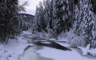 Beautiful Winter Snow Landscape Background Wide