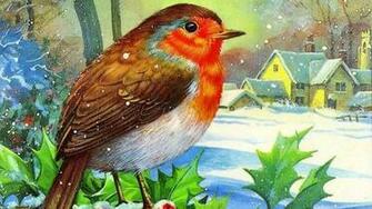 Beautiful Birds Christmas Bird Jpg