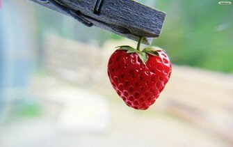 Red Strawberry Wallpaper