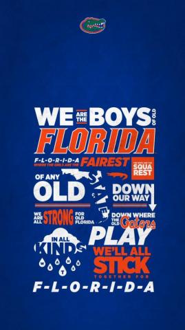 Florida Gators Wallpaper iPhone X Teahub Io