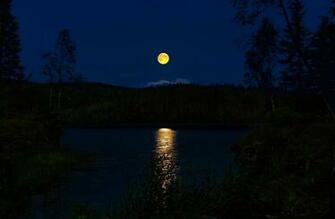 Wallpaper Night Norway Full Moon Lunar Path River Forest