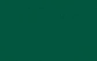 Sacramento State Green Solid Color Background