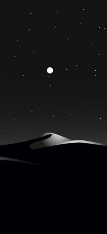 Desert Night