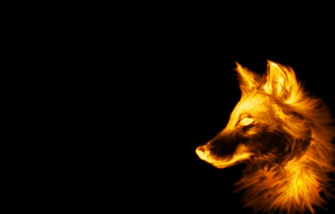 Wolf Background