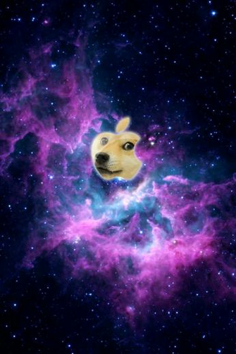 Such Wow iPhone Wallpaper