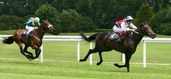 Racing Horses Wallpaper Horse