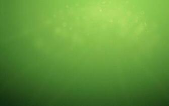 Opensuse Wallpaper