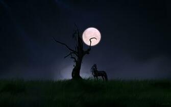 Horse HD Wallpaper High Resolution WallartHD