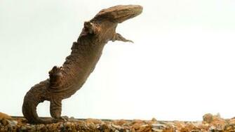 Psbattle A Hellbender Salamander Photoshopbattles