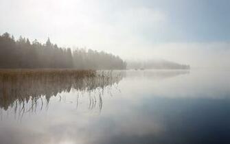 Get All Of Our Wallpaper In The Precise Image Size You Need For Your