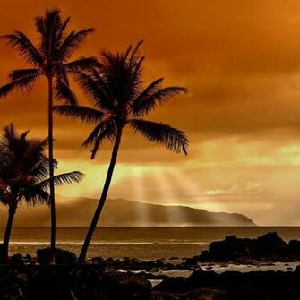 Tropical Sunset Wallpaper For iPad And Galaxy Tab Tablet