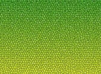 Reptile Skin Texture Photo