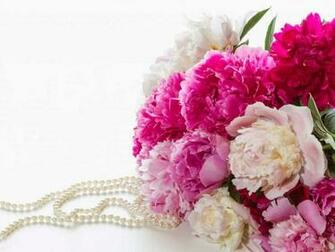 Lovely And Beautiful Good Morning Wallpaper Allfreshwallpaper