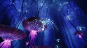 Avatar Photo